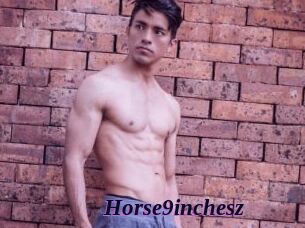 Horse9inchesz