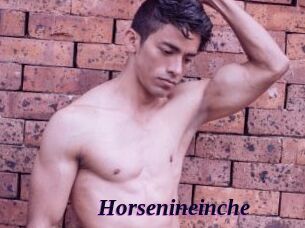 Horsenineinche