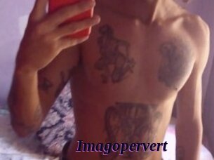 Imagopervert