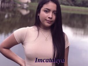 Imcataleya