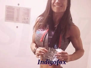 Indigofox