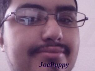 JoePuppy