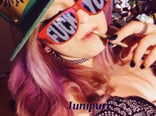 Junipurr