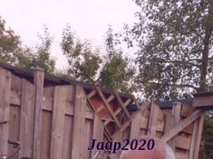 Jaap2020