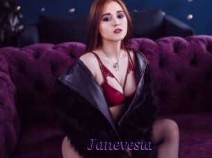 Janevesta