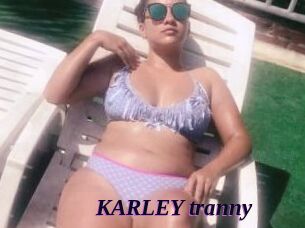 KARLEY_tranny