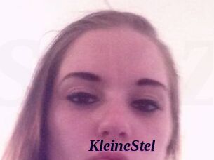 KleineStel