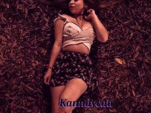 Kanndycatt