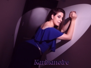 Karinanoire