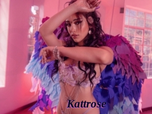 Kattrose