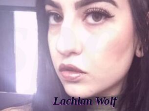 Lachlan_Wolf