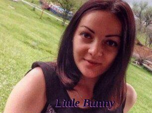 Little_Bunny_