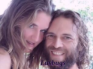 Luvbugs