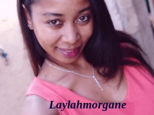 Laylahmorgane