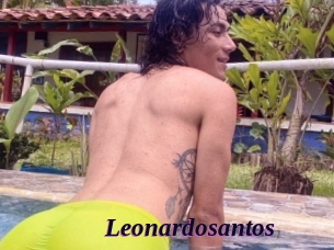 Leonardosantos