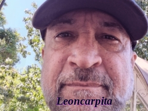 Leoncarpita