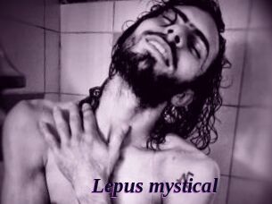 Lepus_mystical