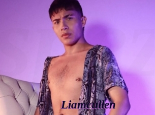 Liamcullen