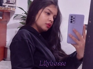 Lilybosse