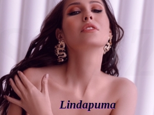 Lindapuma