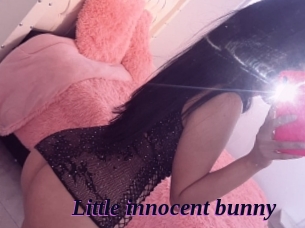 Little_innocent_bunny