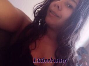 Littleebunny