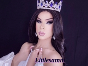 Littlesamm