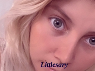 Littlesary