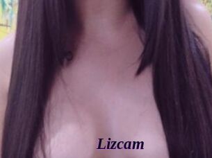 Lizcam