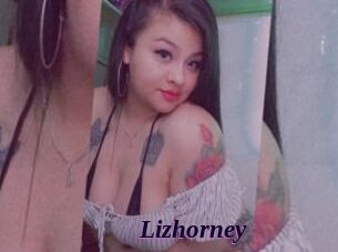 Lizhorney