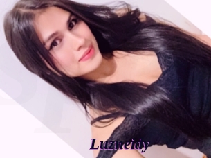 Luzneidy