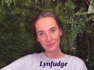 Lynfudge