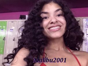 Malibu2001