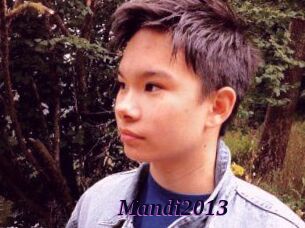 Mandi2013