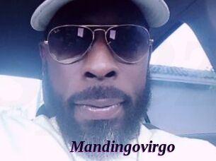 Mandingovirgo