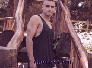 Marcus_Levit