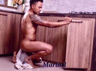 Martin1