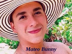 Mateo_Bunny
