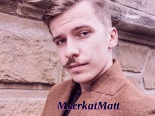 MeerkatMatt