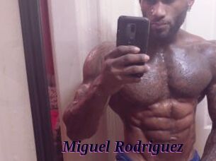 Miguel_Rodriguez