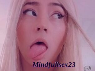 Mindfullsex23