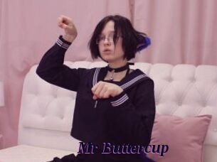 Mr_Buttercup