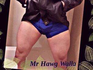 Mr_Hawg_Walla