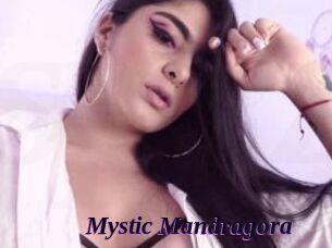 Mystic_Mandragora
