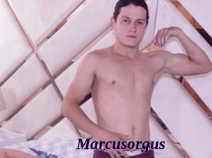 Marcusorgus