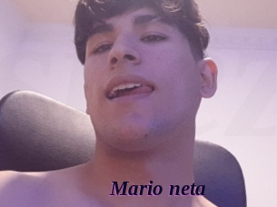 Mario_neta