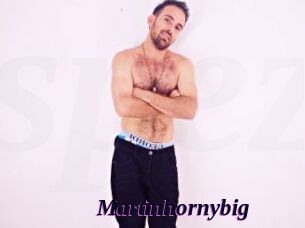 Martinhornybig