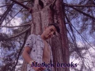 Mathew_brooks