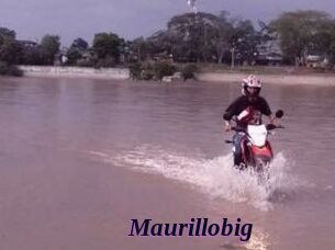 Maurillobig