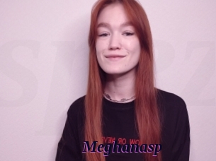 Meghanasp